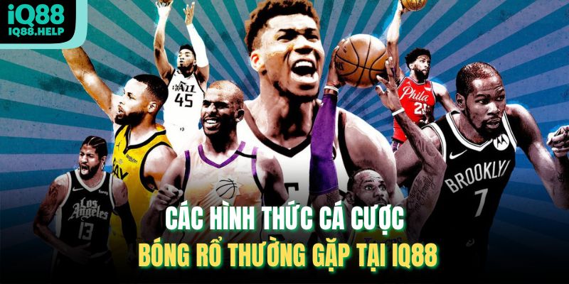 Các hình thức cá cược bóng rổ thường gặp tại iq88