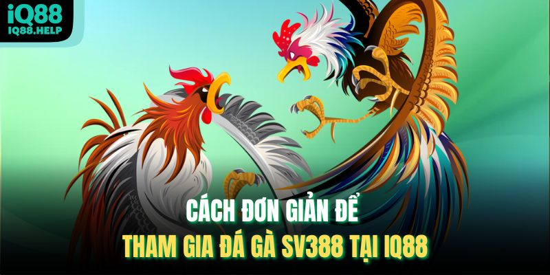 Cách đơn giản để tham gia Đá Gà Sv388 tại iq88