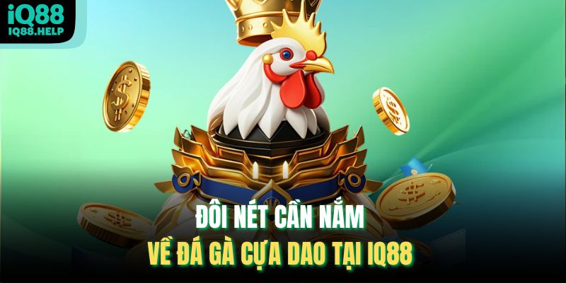 Đôi nét cần nắm về Đá Gà Cựa Dao tại iq88 