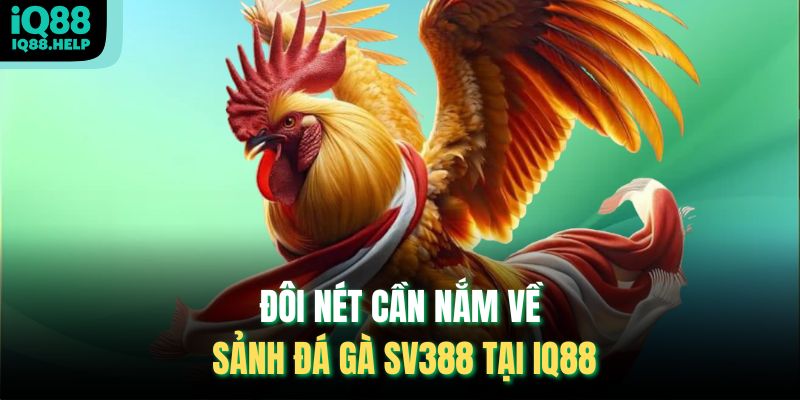 Đôi nét cần nắm về sảnh Đá Gà Sv388 tại iq88