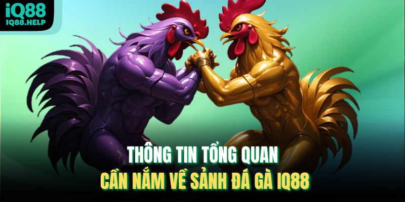 Thông tin tổng quan cần nắm về sảnh đá gà iq88