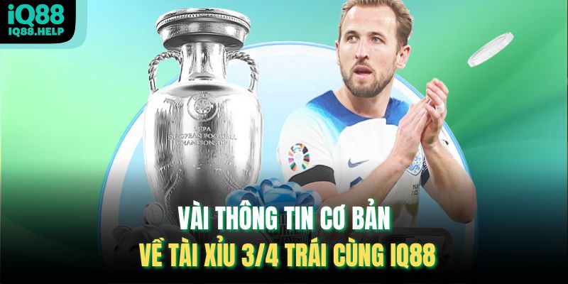 Vài thông tin cơ bản về Tài Xỉu 3/4 Trái cùng iq88